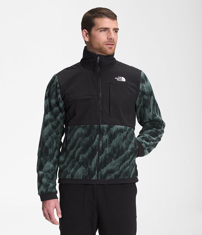 The North Face Softshell Μπουφαν Πρασινο/Μαυρα Ανδρικα Printed Denali 2 Μπουφαν - Greece 4705QDAGP